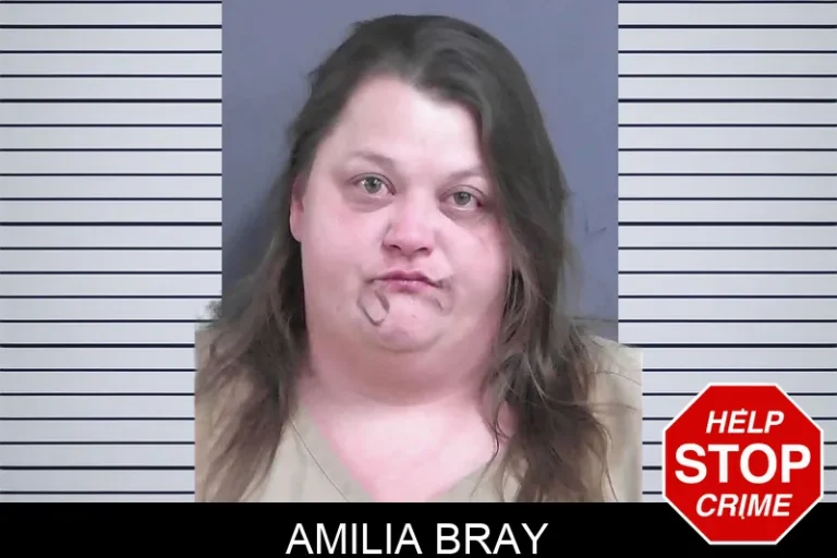 Amilia Bray