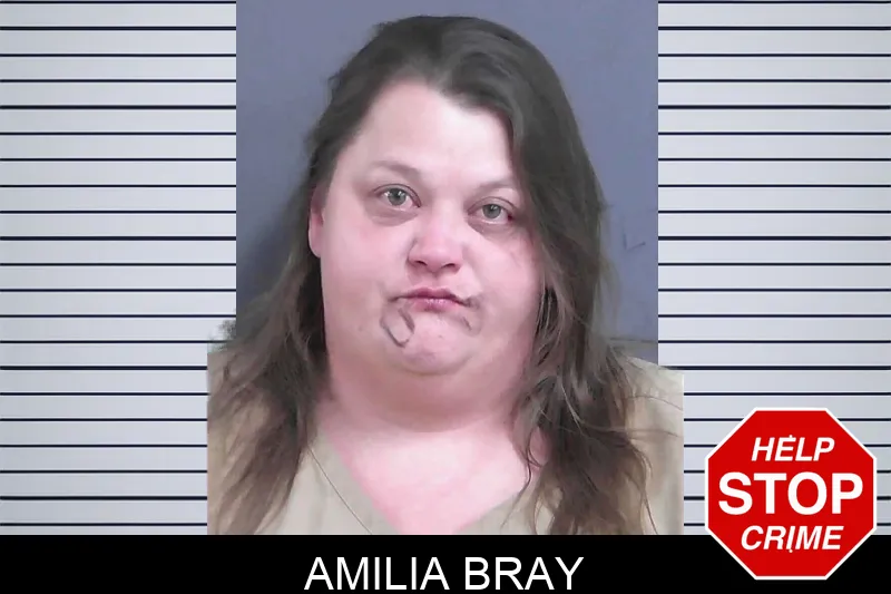 Amilia Bray mugshot – Gordon County , Georgia Amilia Bray mugshot