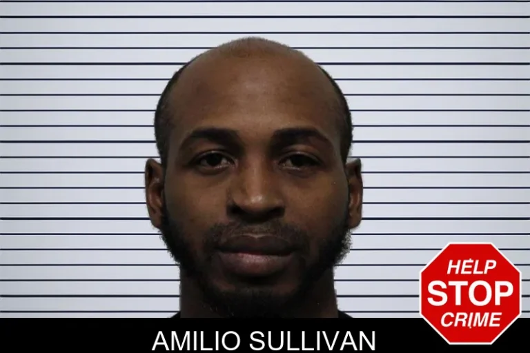 Amilio Sullivan mugshot – Habersham County , Georgia Amilio Sullivan