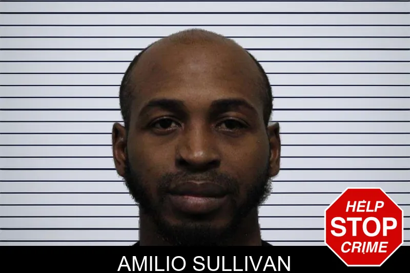 Amilio Sullivan Mugshots