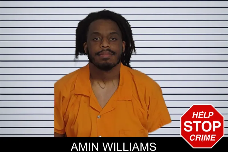 Amin Williams mugshot