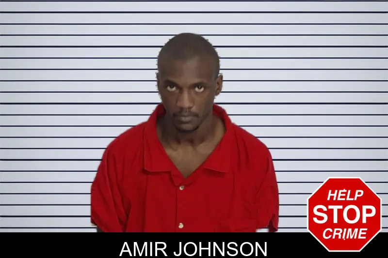 Amir Johnson mugshot
