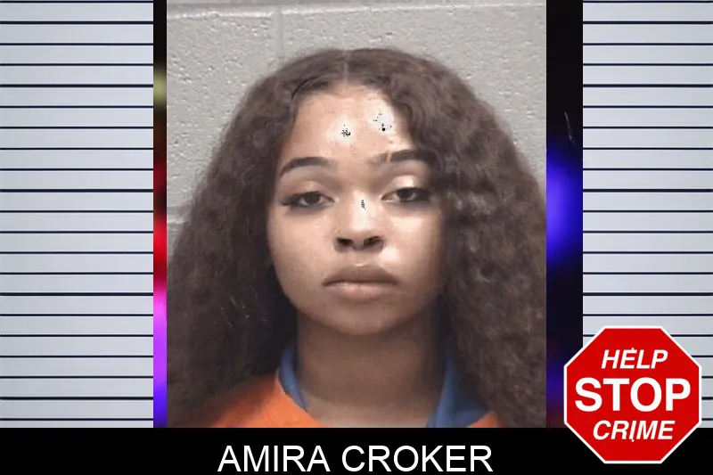 Amira Croker Mugshots