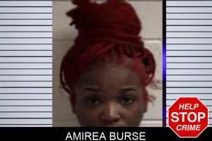 Amirea Burse mugshot