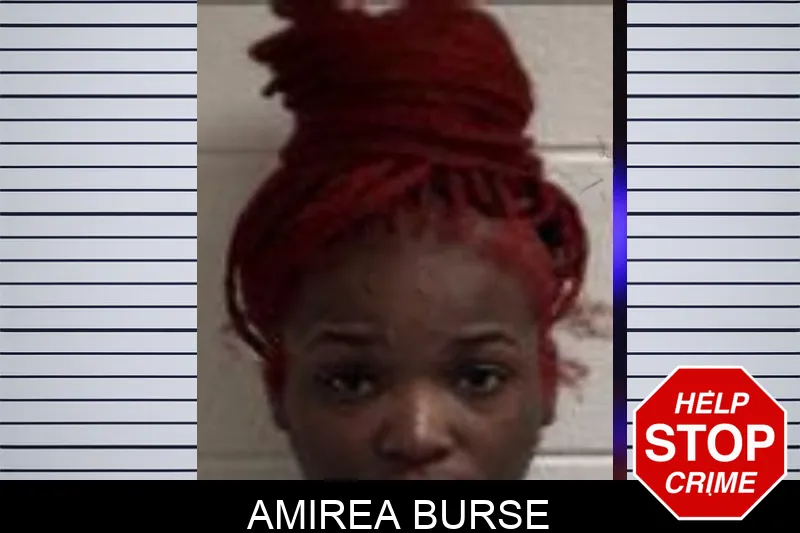 Amirea Burse Mugshots