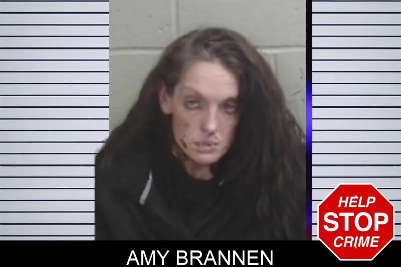 Amy Brannen mugshot