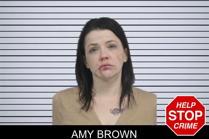 Amy Brown Mugshots