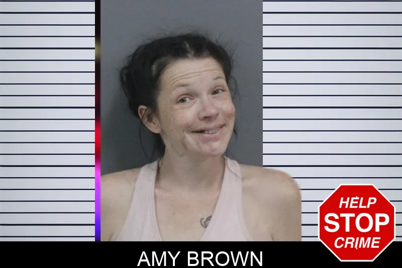 Amy Brown mugshot