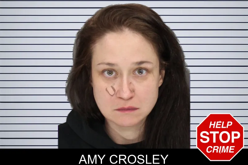 Amy Crosley mugshot