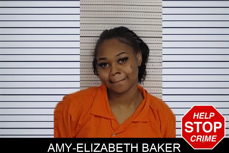Amy-Elizabeth Baker Mugshots