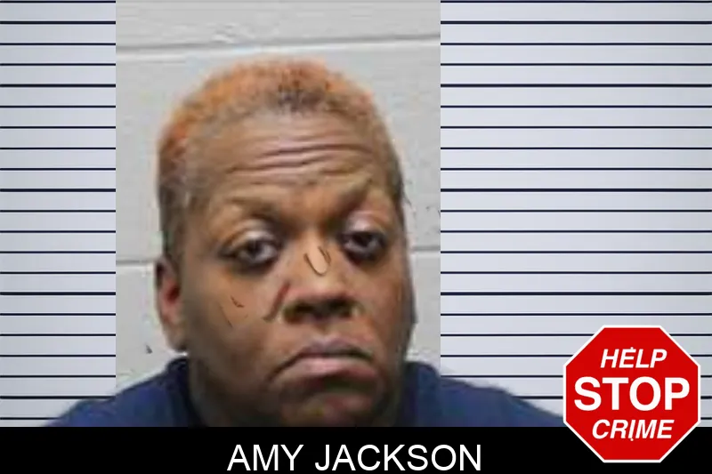 Amy Jackson Mugshots