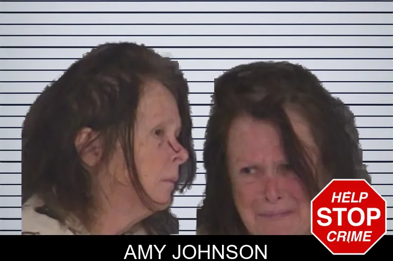 Amy Johnson mugshot