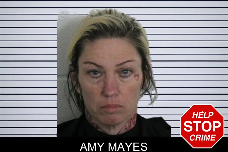 Amy Mayes mugshot