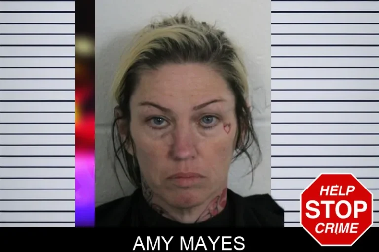 Amy Mayes mugshot – Floyd County , Georgia Amy Mayes