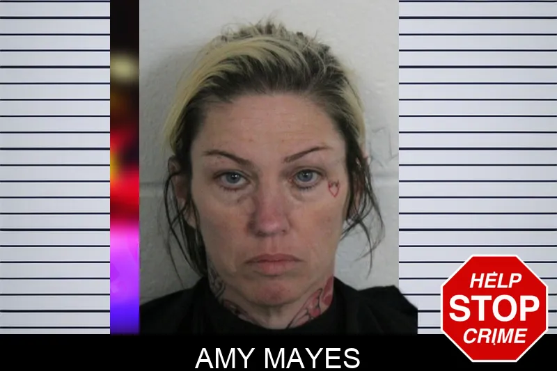 Amy Mayes mugshot