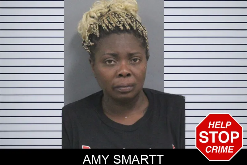 Amy Smartt mugshot – Catoosa County , Georgia Amy Smartt mugshot
