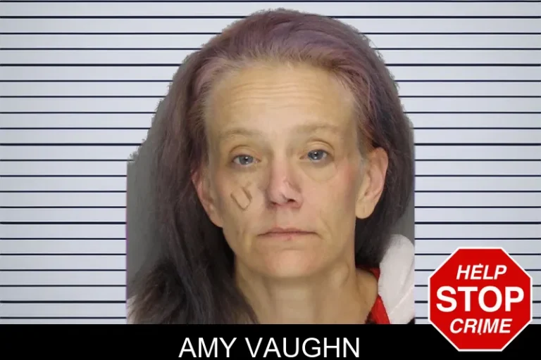 Amy Vaughn mugshot – Cobb County , Georgia Amy Vaughn