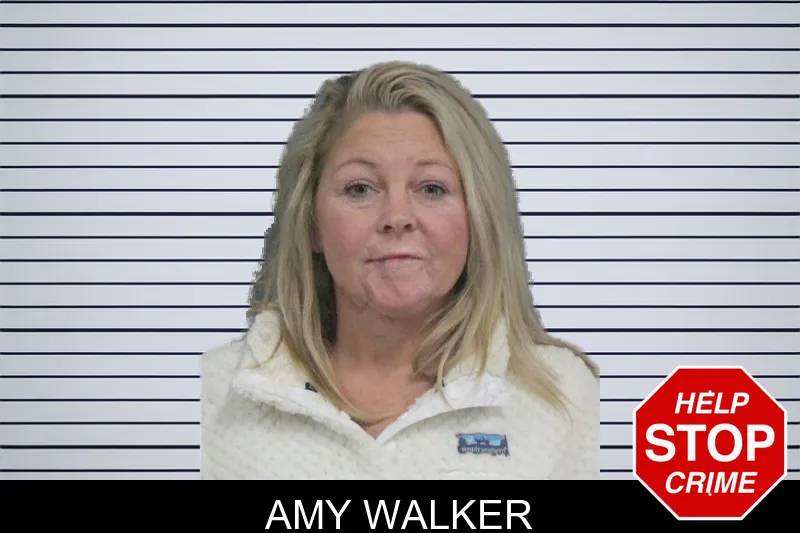 Amy Walker mugshot
