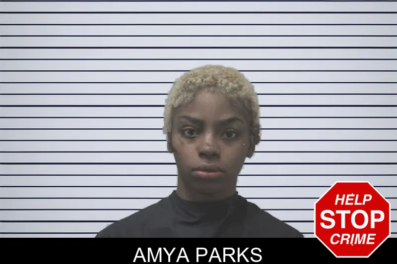 Amya Parks Mugshots