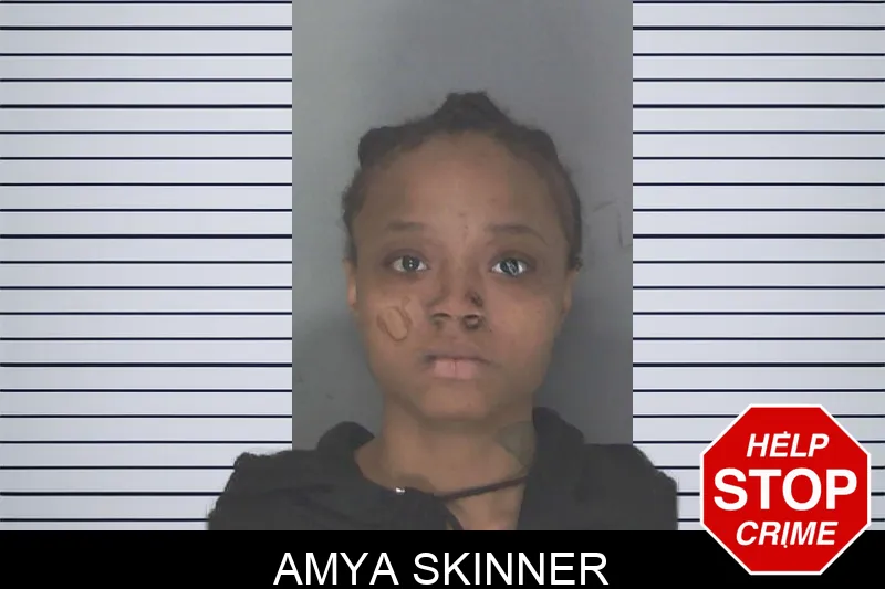 Amya Skinner mugshot – Douglas County , Georgia Amya Skinner mugshot