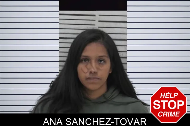 Ana Sanchez-Tovar Mugshots