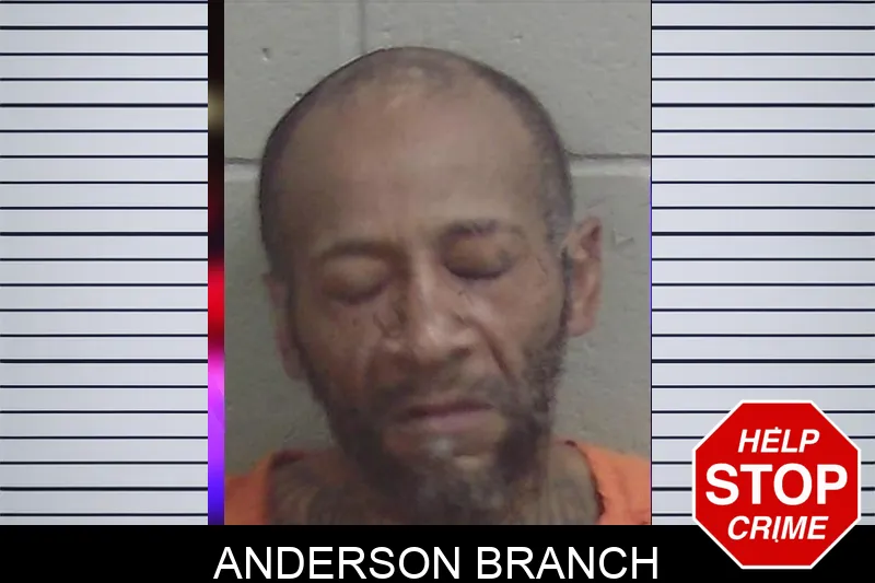 Anderson Branch Mugshots