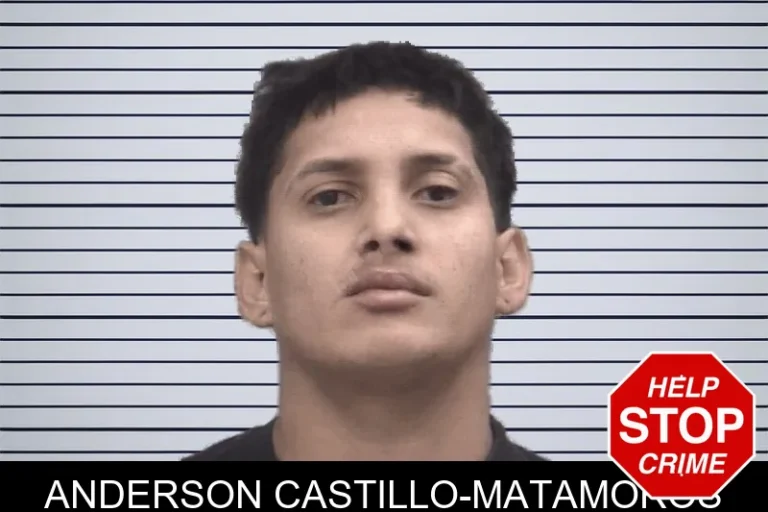 Anderson Castillo-Matamoros