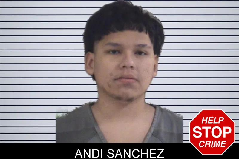 Andi Sanchez mugshot
