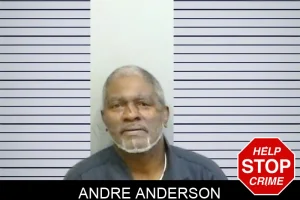 Andre Anderson mugshot