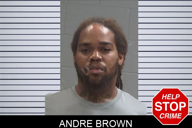 Andre Brown Mugshots