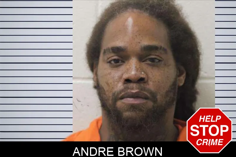 Andre Brown Mugshots