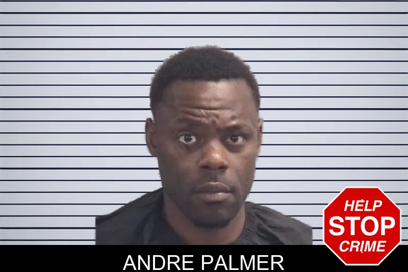 Andre Palmer Mugshots