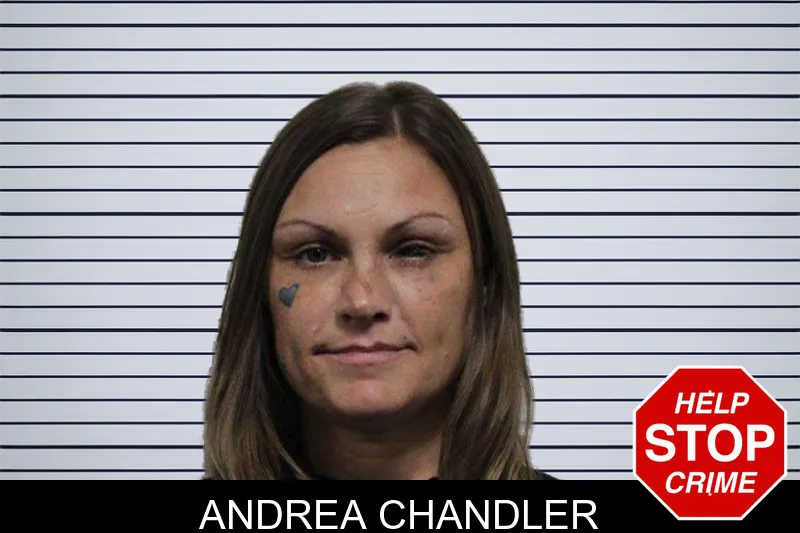 Andrea Chandler Mugshots