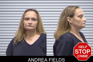 Andrea Fields mugshot