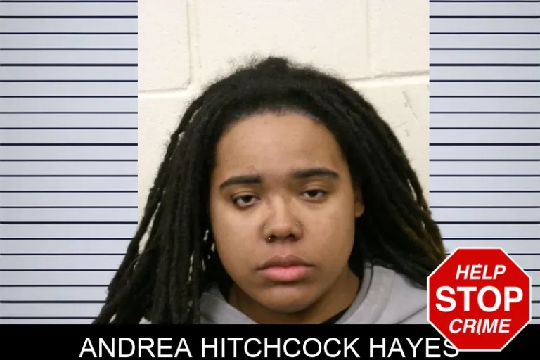 Andrea Hitchcock Hayes