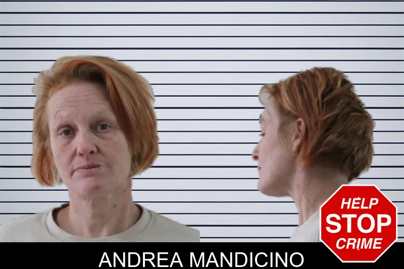 Andrea Mandicino mugshot – Houston County , Georgia Andrea Mandicino mugshot