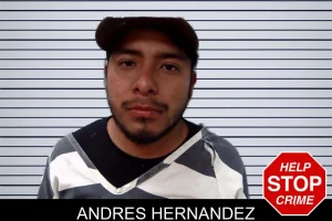 Andres Hernandez mugshot
