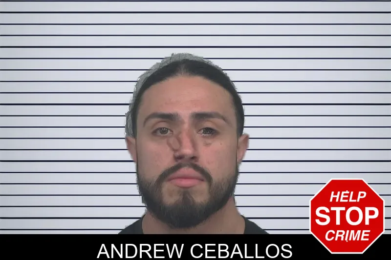 Andrew Ceballos Mugshots