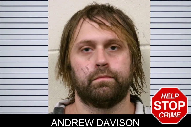 Andrew Davison mugshot