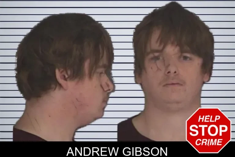 Andrew Gibson mugshot – Barrow County , Georgia Andrew Gibson