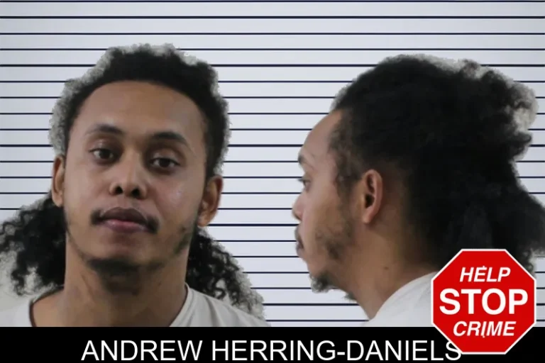 Andrew Herring-Daniels