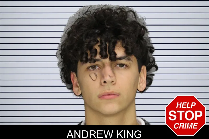 Andrew King mugshot