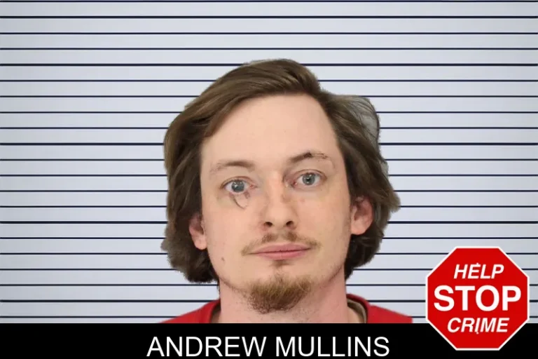 Andrew Mullins