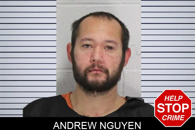 Andrew Nguyen Mugshots