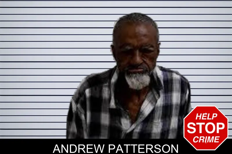 Andrew Patterson mugshot – Decatur County , Georgia Andrew Patterson mugshot