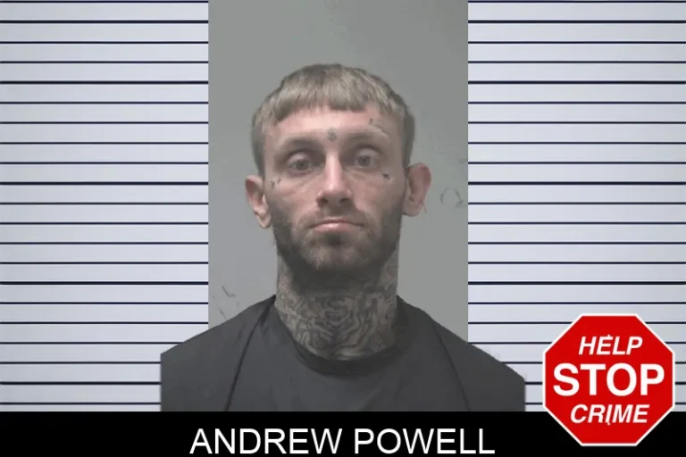 Andrew Powell