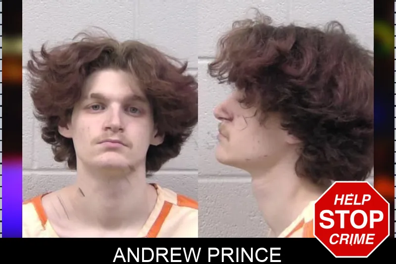 Andrew Prince Mugshots