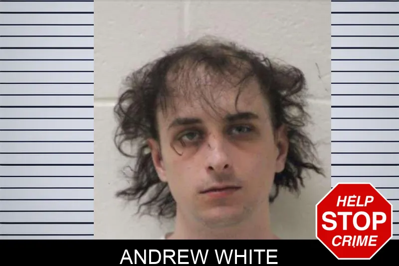 Andrew White Mugshots