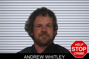 Andrew Whitley mugshot