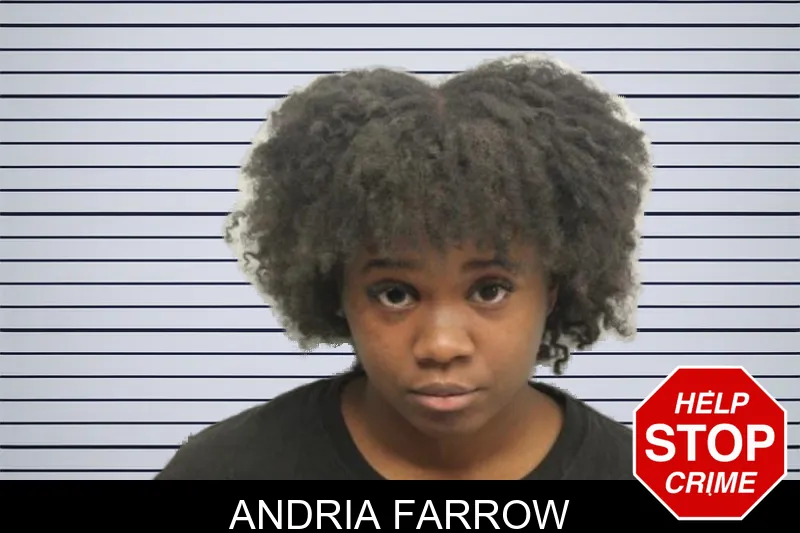 Andria Farrow mugshot – Chatham County , Georgia Andria Farrow mugshot